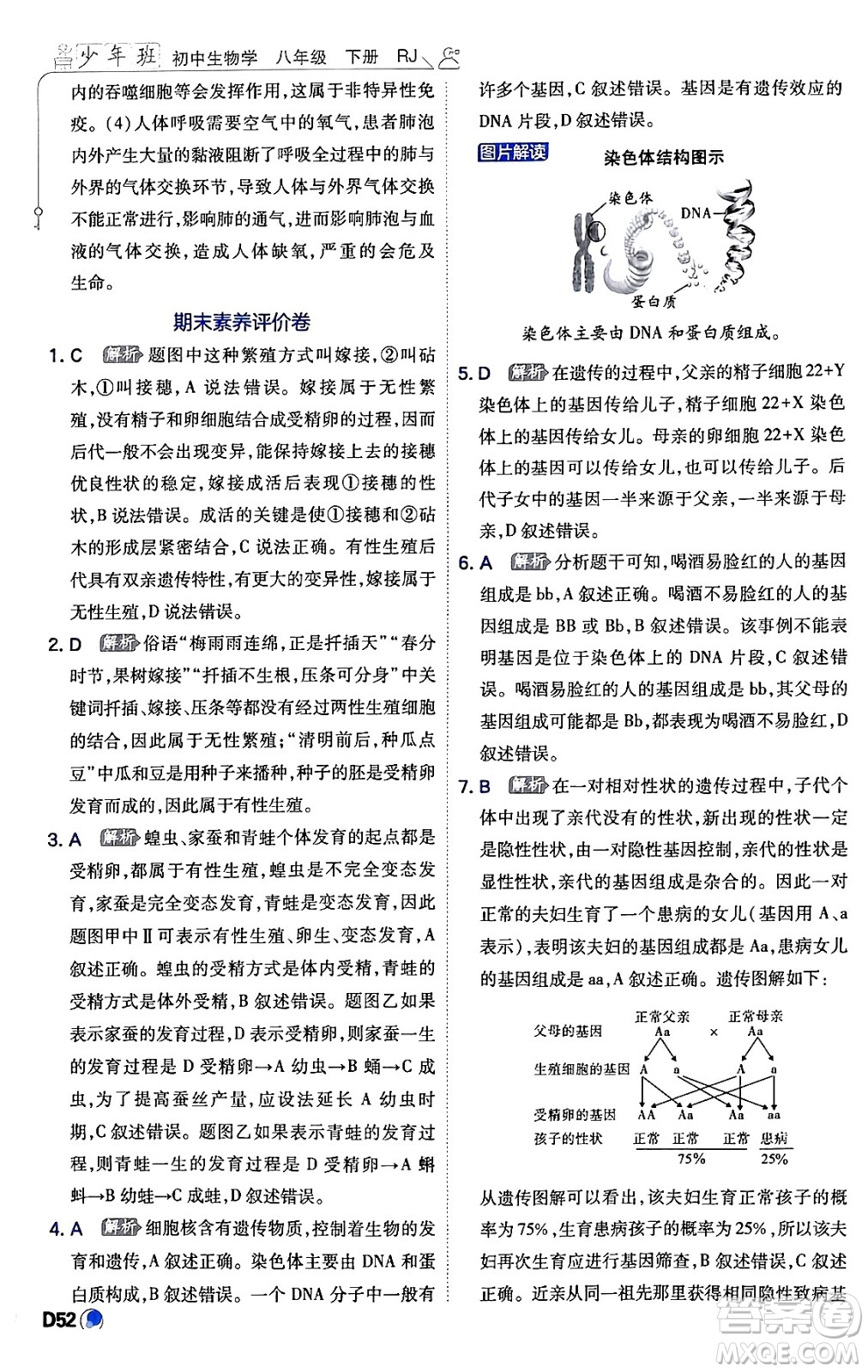 開明出版社2024年春少年班八年級生物下冊人教版答案