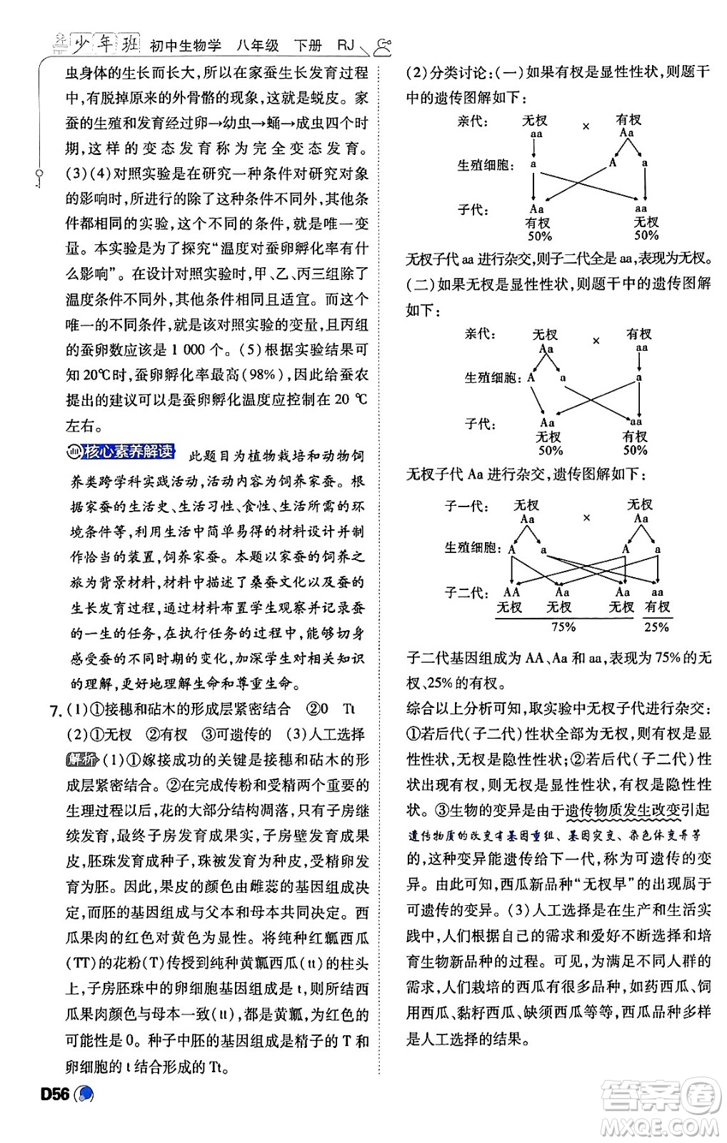 開明出版社2024年春少年班八年級生物下冊人教版答案