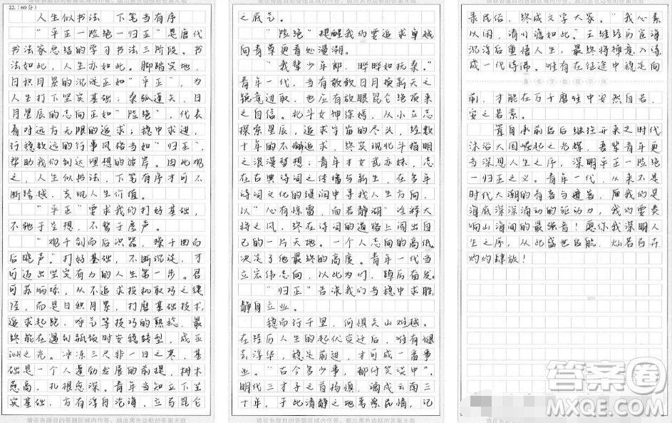 平正險(xiǎn)絕歸正材料作文800字 關(guān)于平正險(xiǎn)絕歸正的材料作文800字