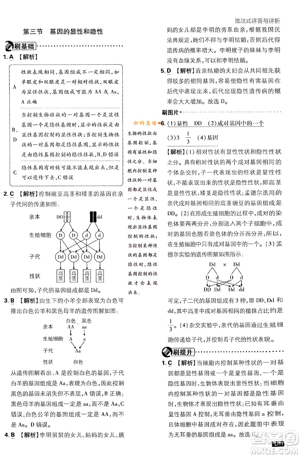 開明出版社2024年春初中必刷題八年級(jí)生物下冊(cè)人教版答案