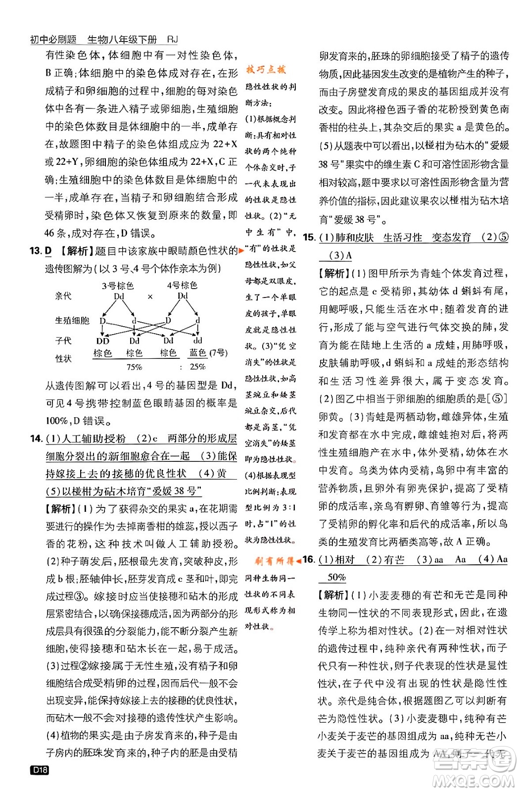 開明出版社2024年春初中必刷題八年級(jí)生物下冊(cè)人教版答案