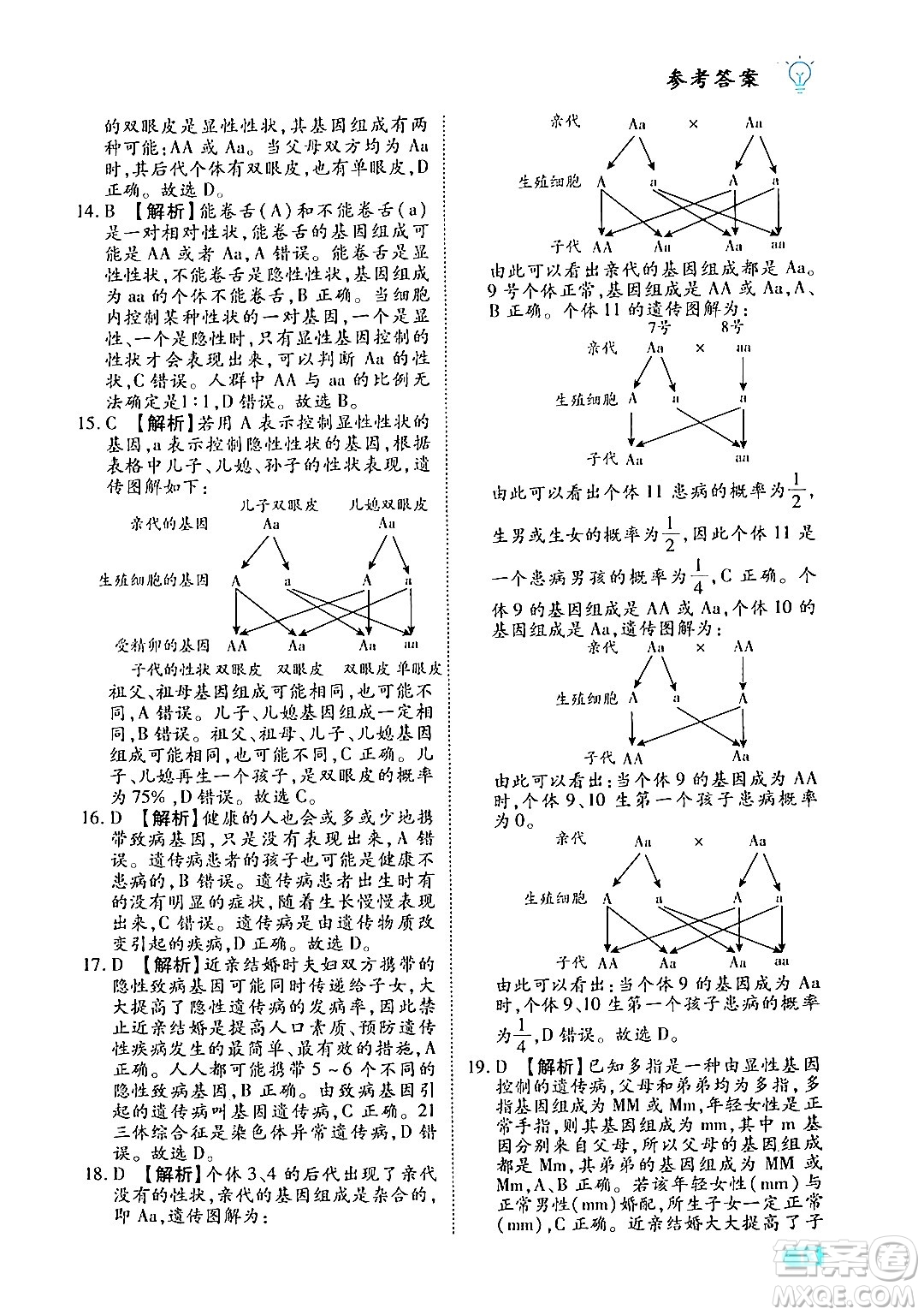 西安出版社2024年春課課練同步訓(xùn)練八年級(jí)生物下冊(cè)人教版答案