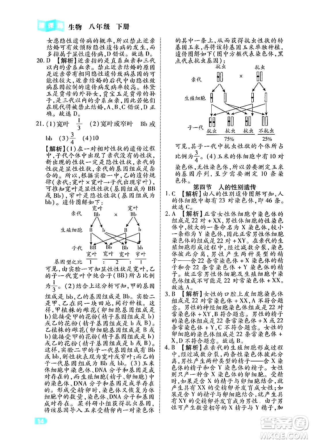 西安出版社2024年春課課練同步訓(xùn)練八年級(jí)生物下冊(cè)人教版答案