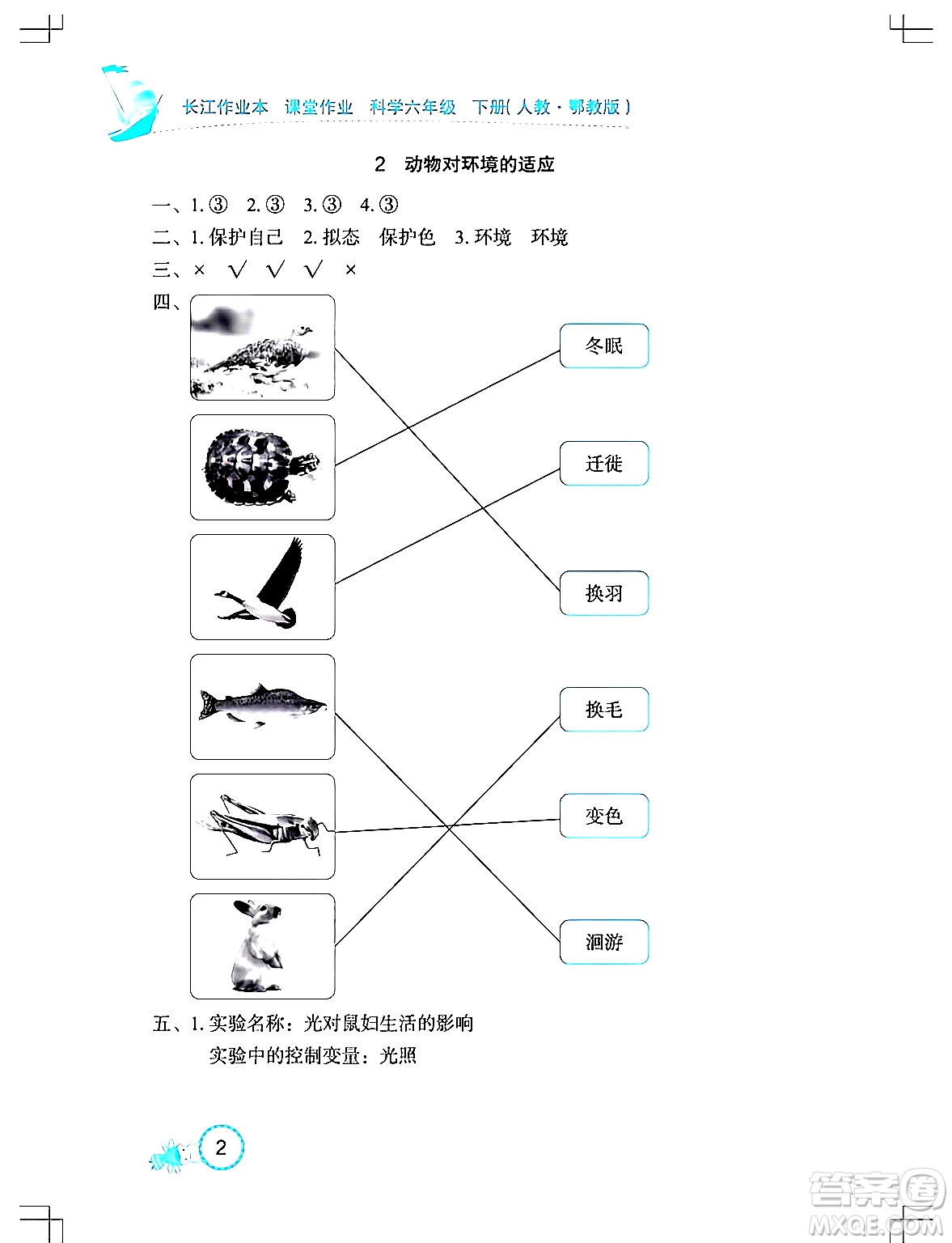 湖北教育出版社2024年春長(zhǎng)江作業(yè)本課堂作業(yè)六年級(jí)科學(xué)下冊(cè)人教鄂教版答案