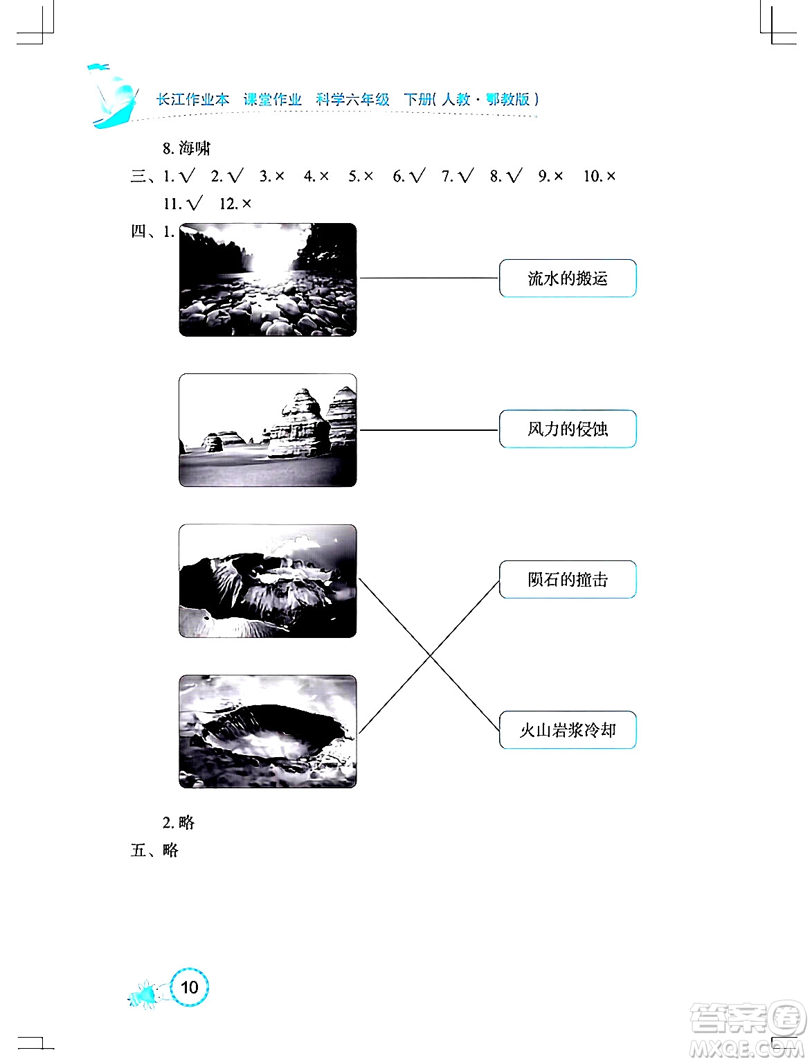 湖北教育出版社2024年春長(zhǎng)江作業(yè)本課堂作業(yè)六年級(jí)科學(xué)下冊(cè)人教鄂教版答案