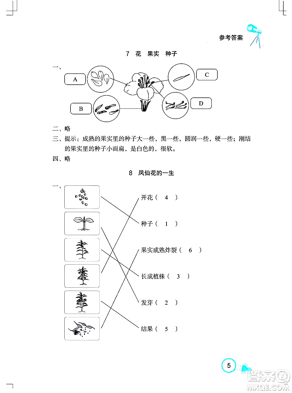 湖北教育出版社2024年春長江作業(yè)本課堂作業(yè)三年級科學(xué)下冊人教鄂教版答案