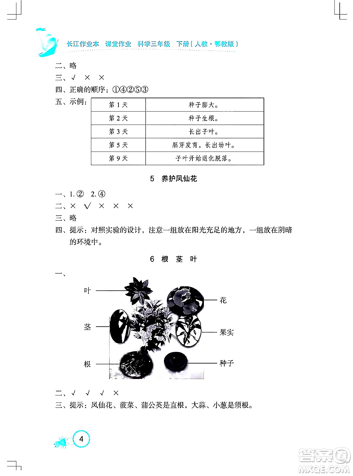 湖北教育出版社2024年春長江作業(yè)本課堂作業(yè)三年級科學(xué)下冊人教鄂教版答案