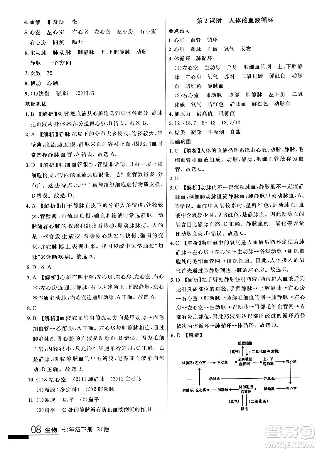 吉林教育出版社2024年春品至教育一線課堂七年級(jí)生物下冊(cè)蘇教版答案