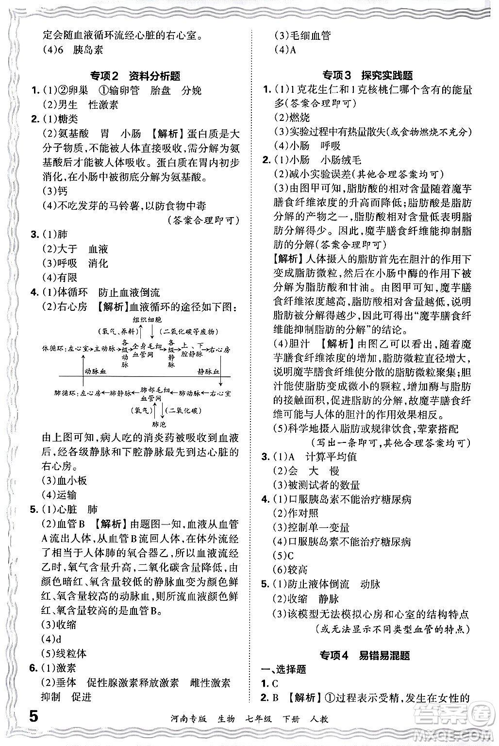 江西人民出版社2024年春王朝霞各地期末試卷精選七年級生物下冊人教版河南專版答案