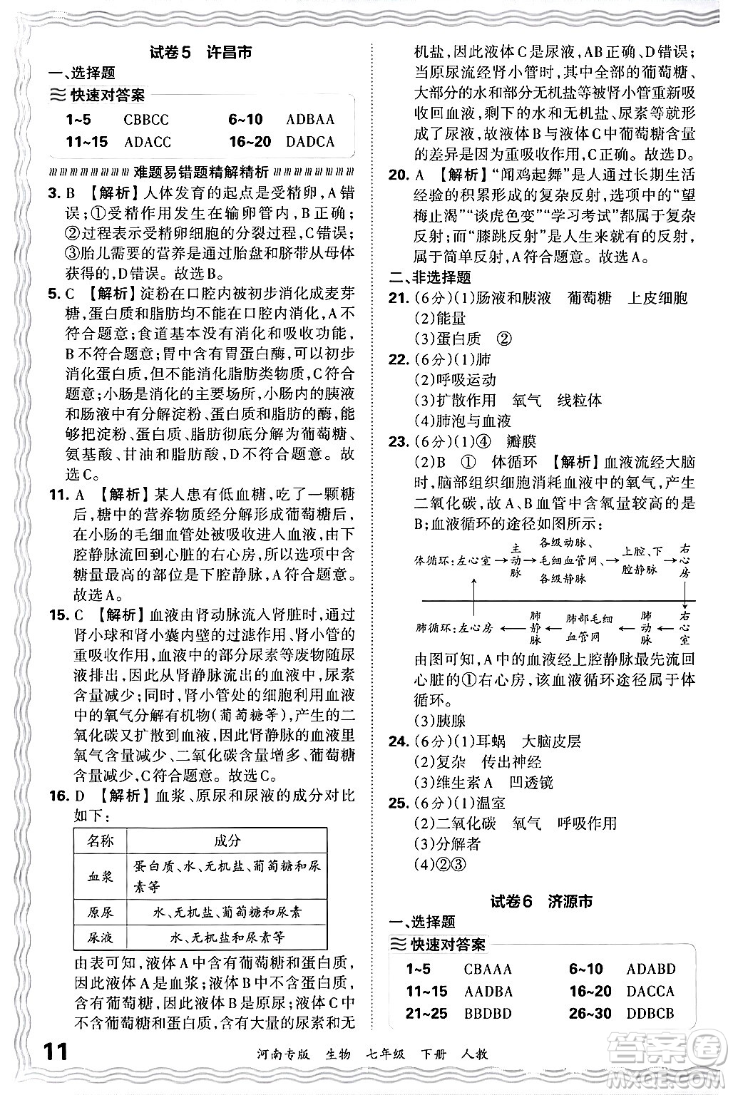 江西人民出版社2024年春王朝霞各地期末試卷精選七年級生物下冊人教版河南專版答案