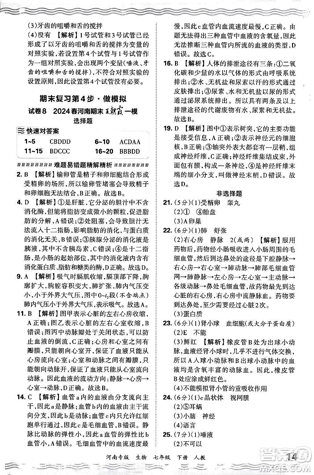 江西人民出版社2024年春王朝霞各地期末試卷精選七年級生物下冊人教版河南專版答案