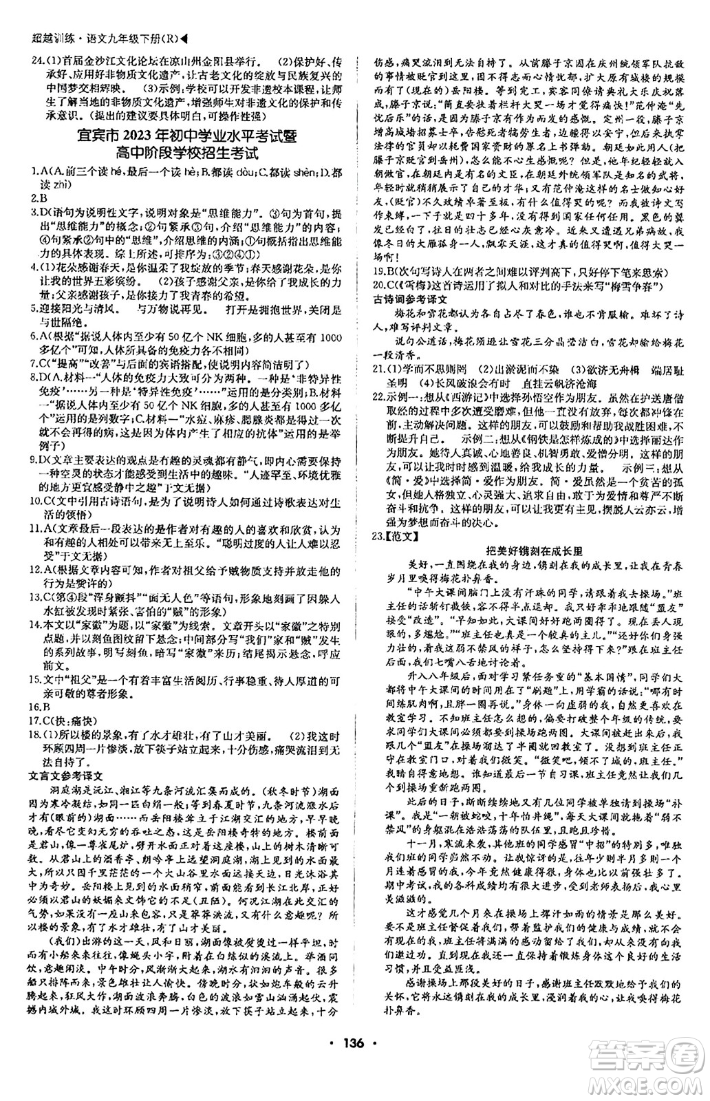 內(nèi)蒙古大學(xué)出版社2024年春超越訓(xùn)練九年級語文下冊人教版答案