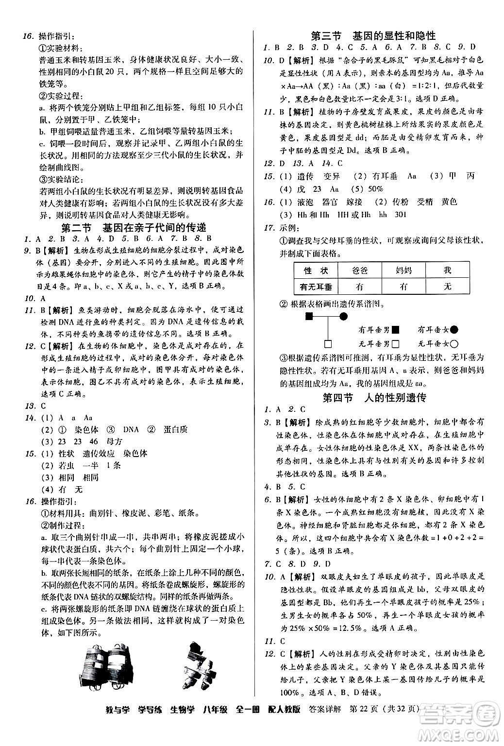 安徽人民出版社2024年春教與學(xué)學(xué)導(dǎo)練八年級(jí)生物下冊(cè)人教版答案