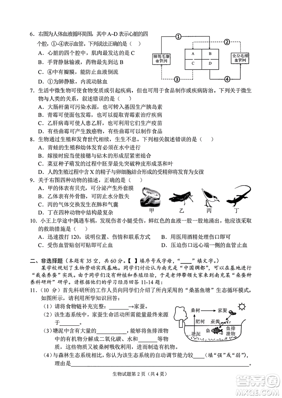 2024南充中考生物真題答案