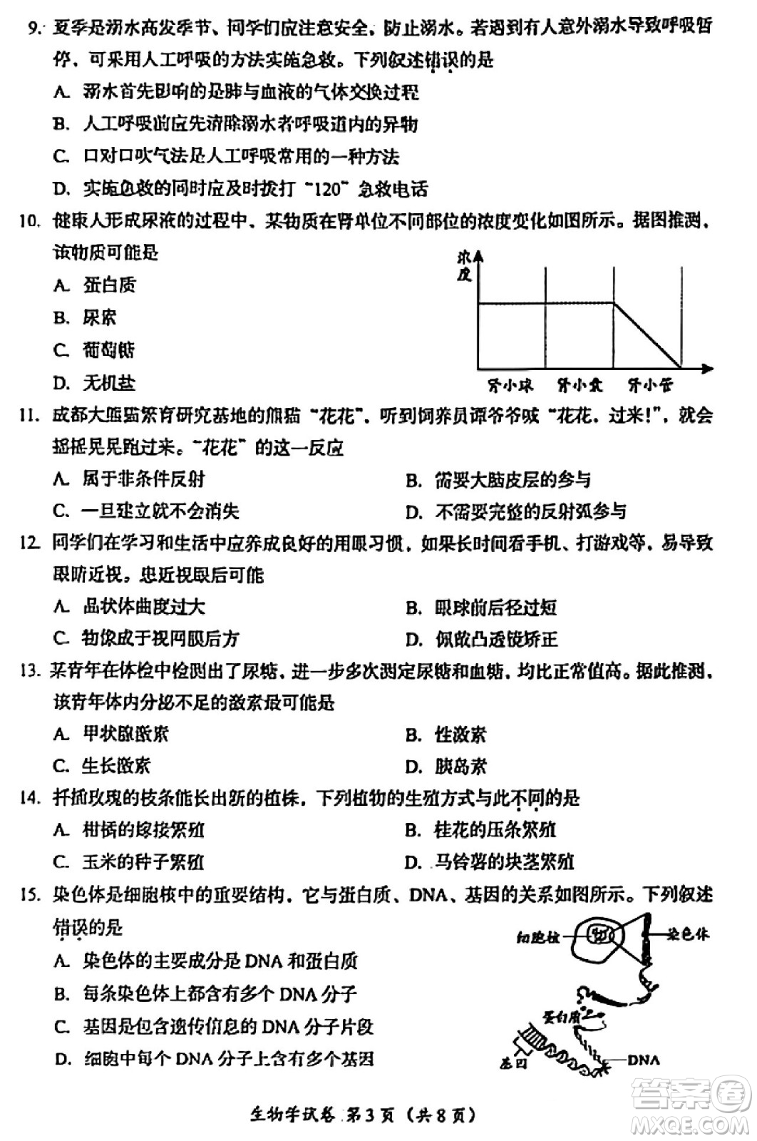 2024成都中考生物真題答案