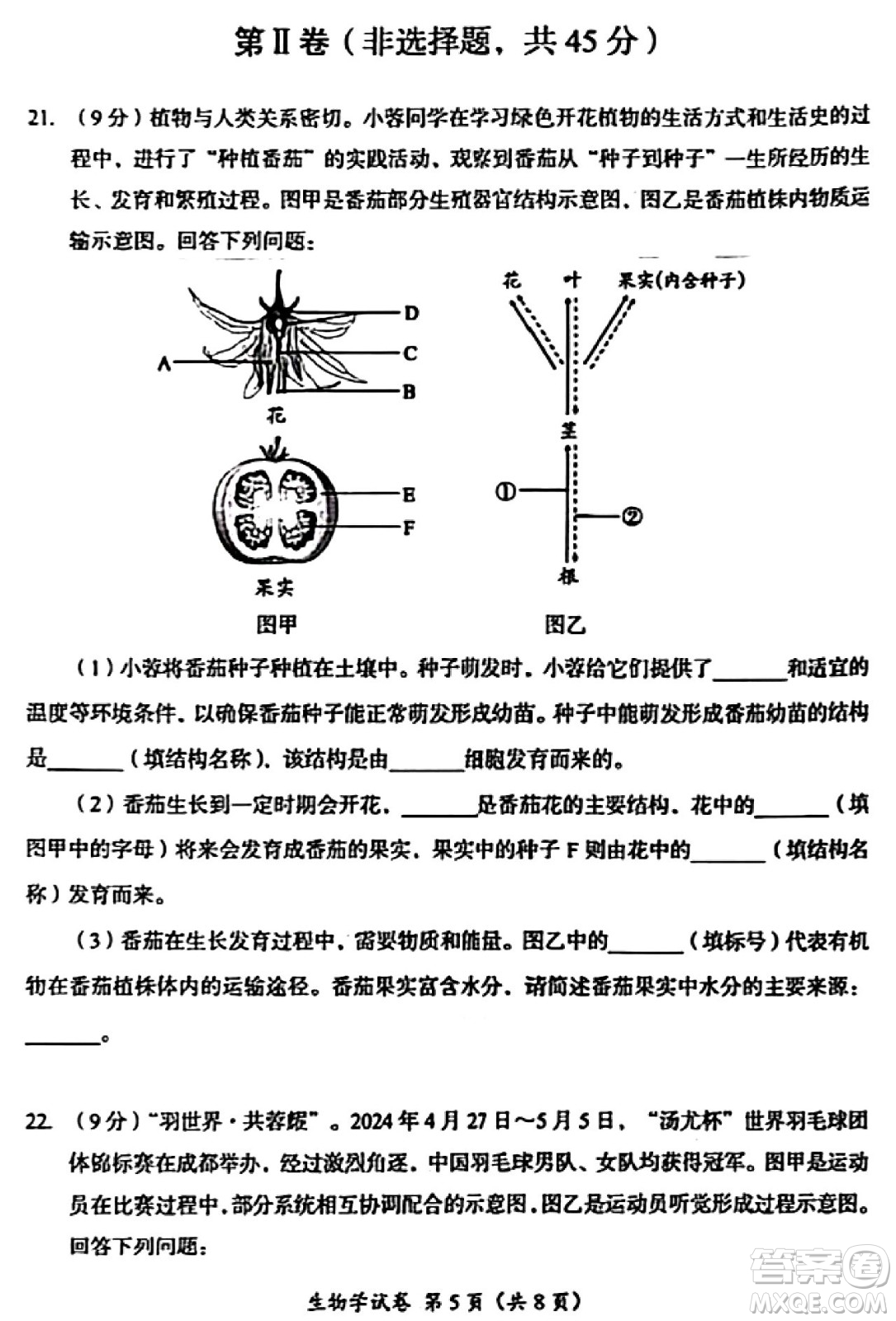 2024成都中考生物真題答案