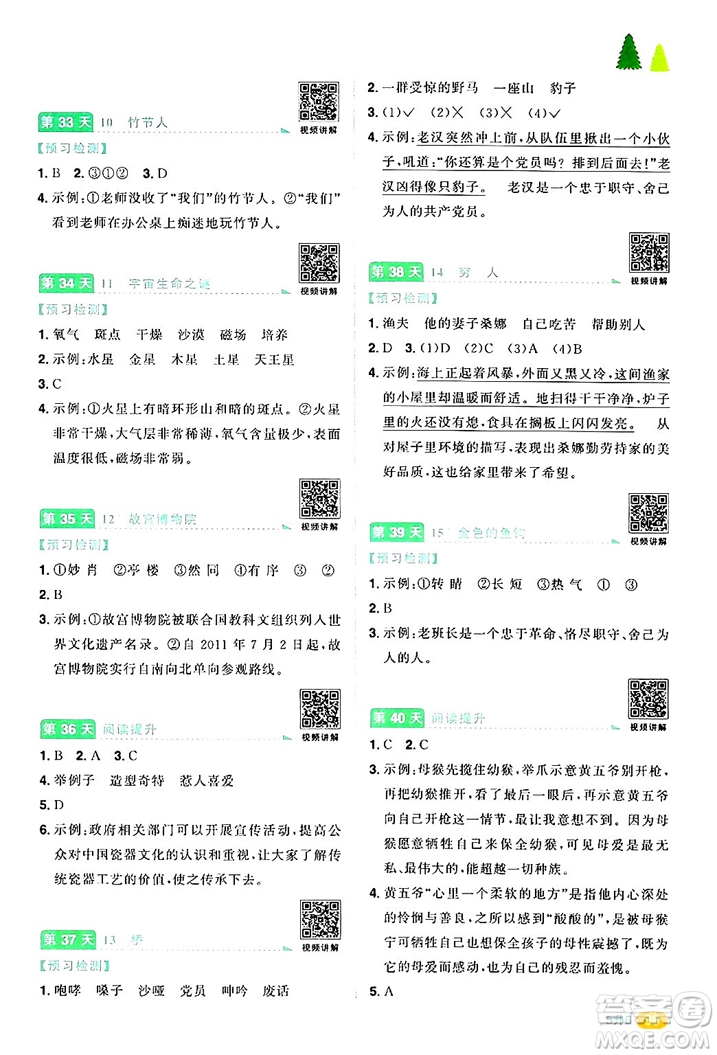 江蘇教育出版社2024年春陽(yáng)光同學(xué)暑假銜接5升6年級(jí)語(yǔ)文全一冊(cè)青島版答案