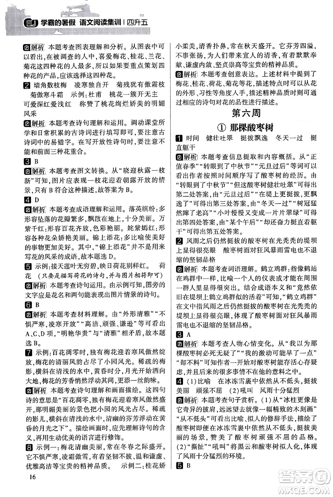 寧夏人民教育出版社2024年春經(jīng)綸學霸學霸的暑假語文閱讀集訓四升五年級語文人教版答案