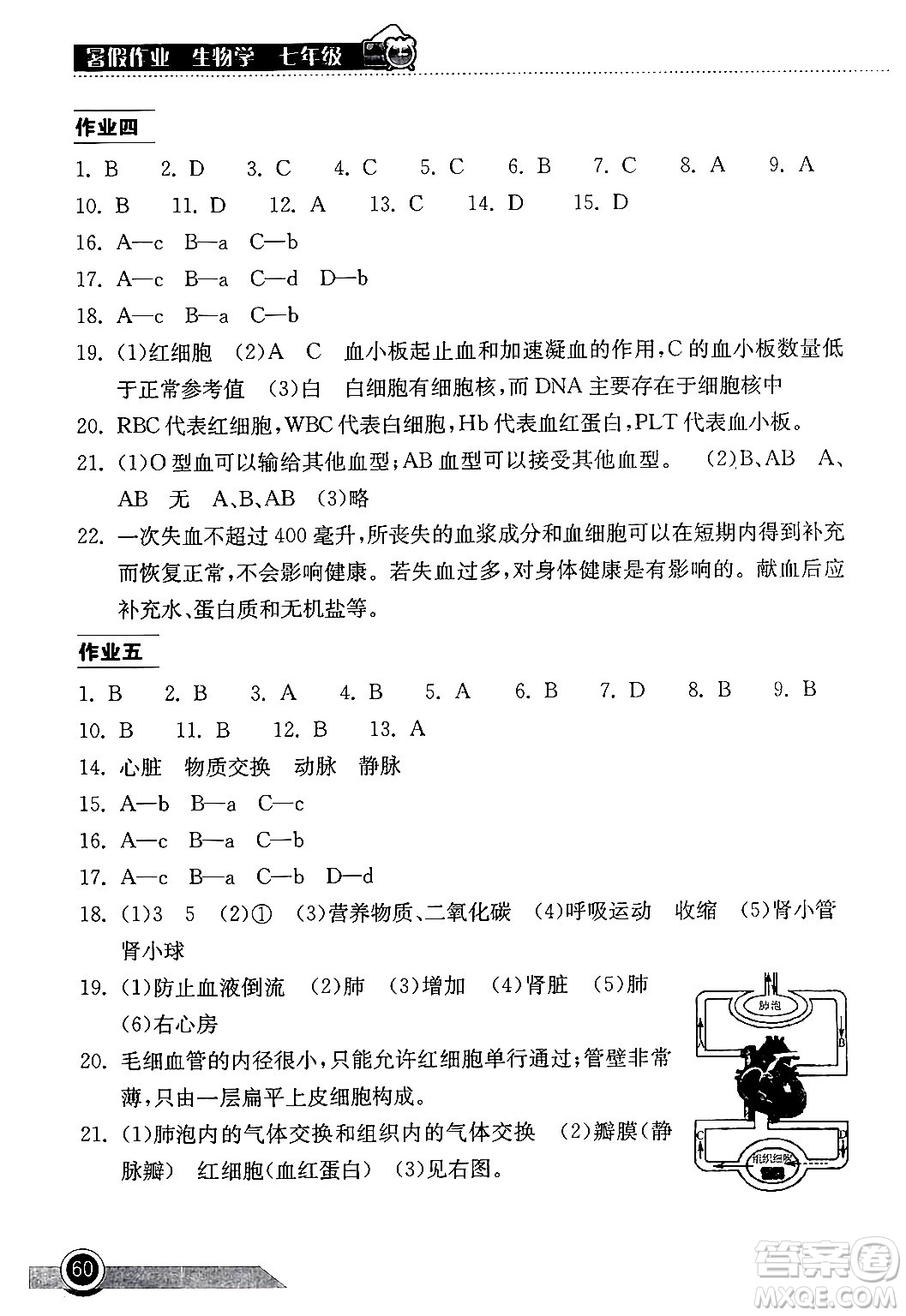 湖北教育出版社2024年長江作業(yè)本暑假作業(yè)七年級生物通用版答案