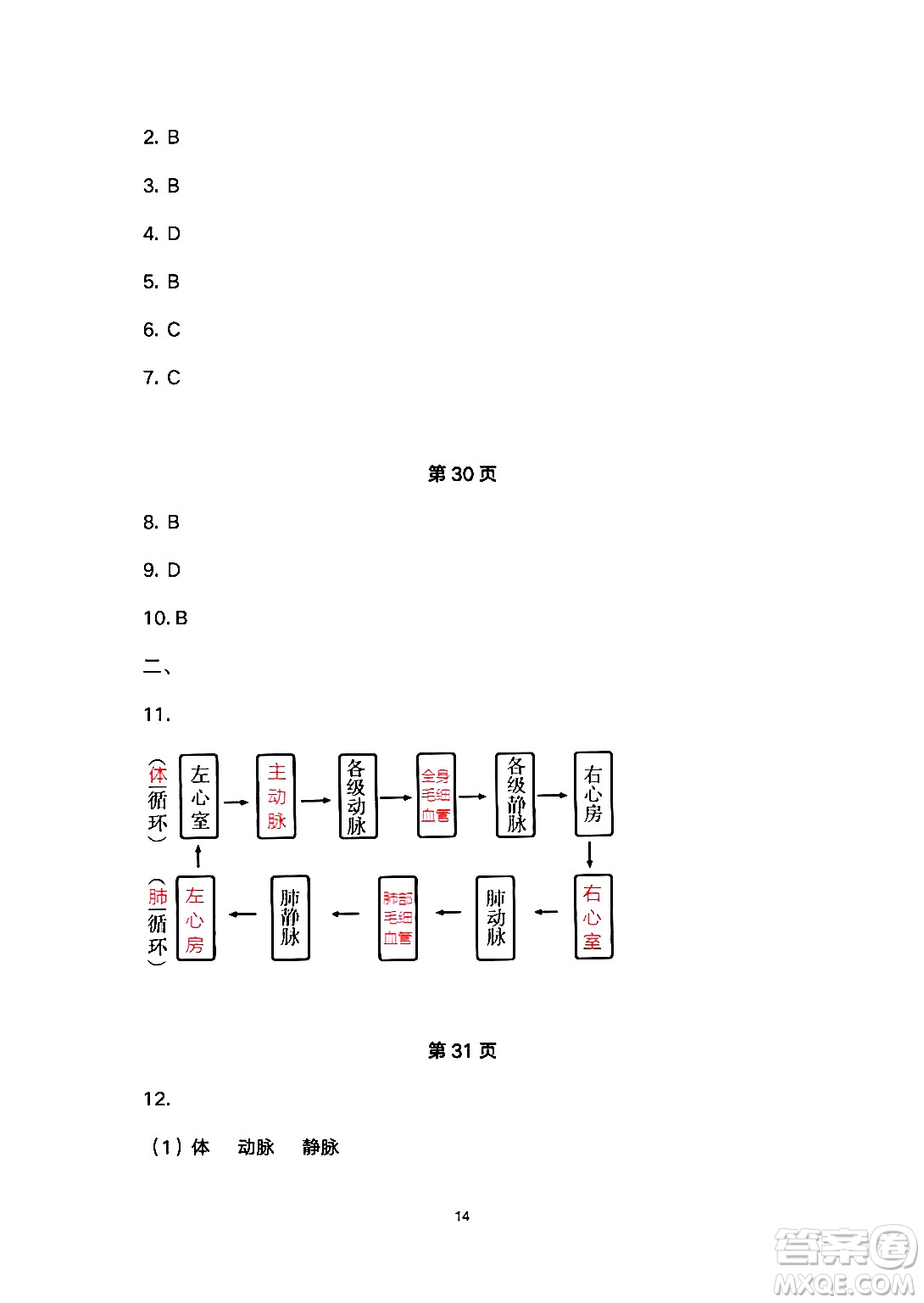 安徽教育出版社2024年暑假生活七年級(jí)生物人教版答案