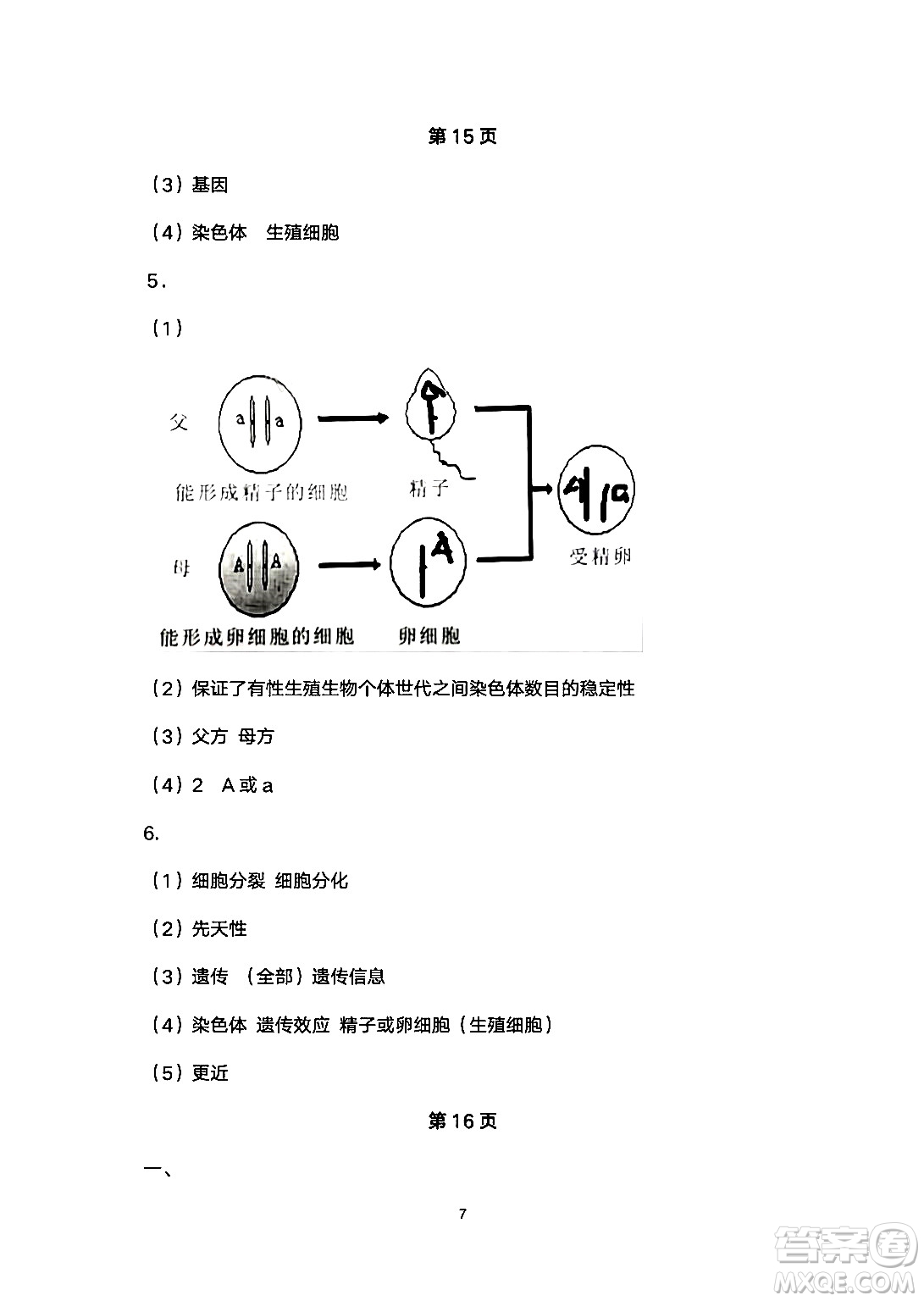 安徽教育出版社2024年暑假生活八年級生物人教版答案