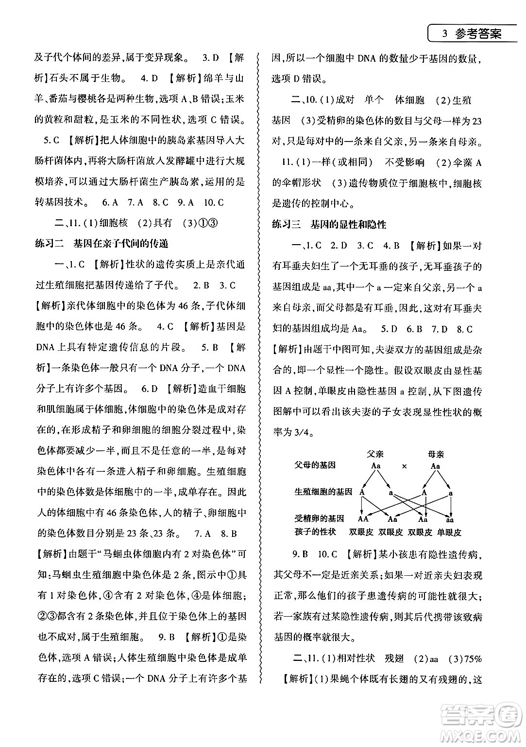 大象出版社2024年生物學(xué)暑假作業(yè)本八年級生物人教版答案