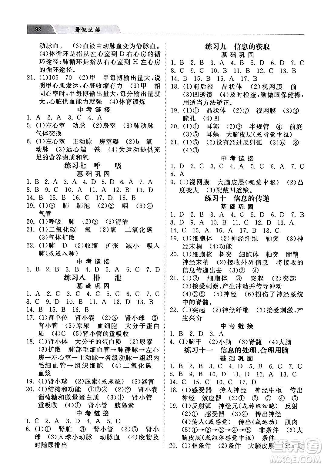 河北美術(shù)出版社2024年暑假生活七年級(jí)生物江蘇版答案