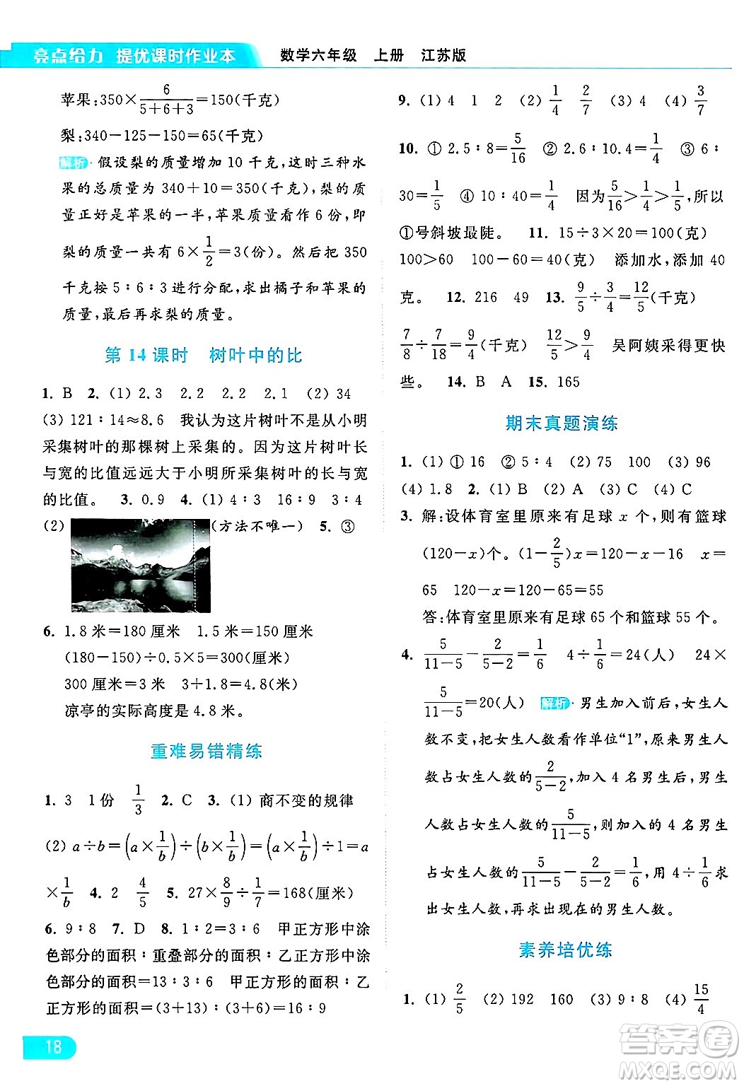 北京教育出版社2024年秋亮點給力提優(yōu)課時作業(yè)本六年級數(shù)學(xué)上冊江蘇版答案