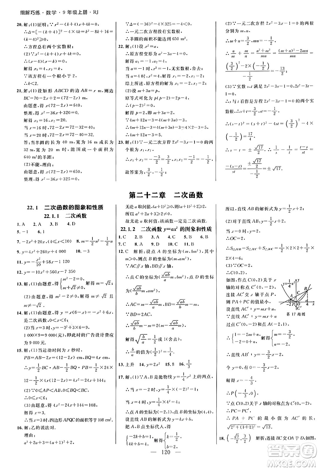 延邊大學(xué)出版社2024年秋細(xì)解巧練九年級(jí)數(shù)學(xué)上冊人教版答案