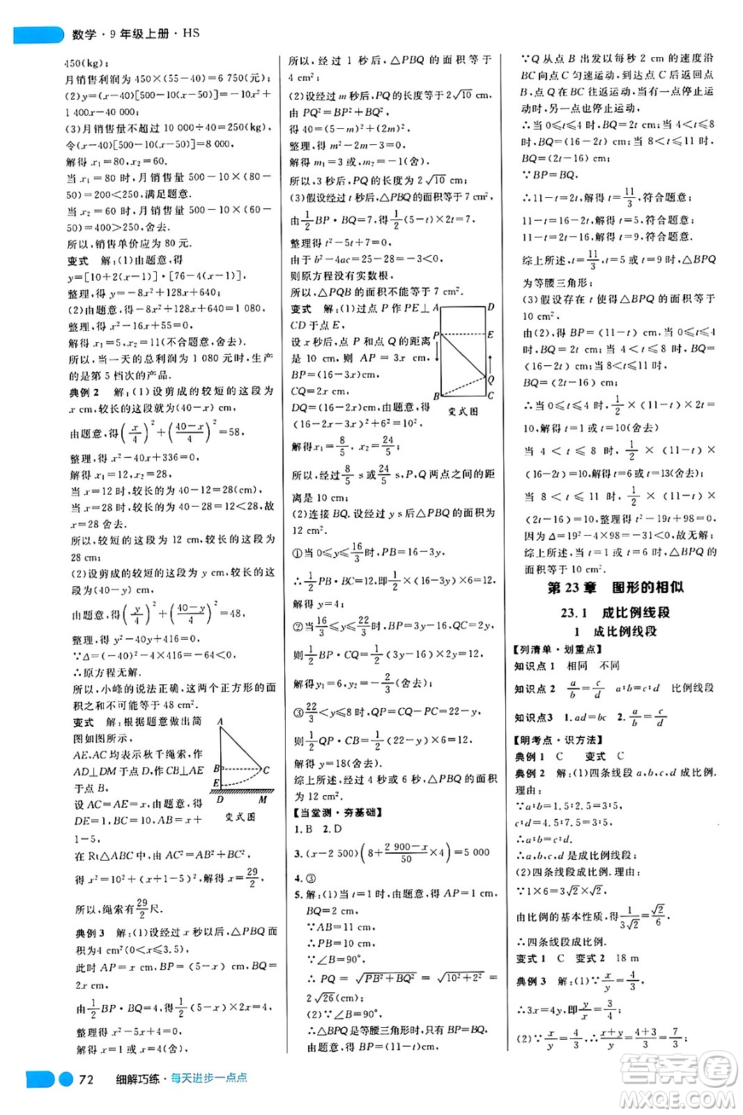 延邊大學出版社2024年秋細解巧練九年級數(shù)學上冊華師版答案