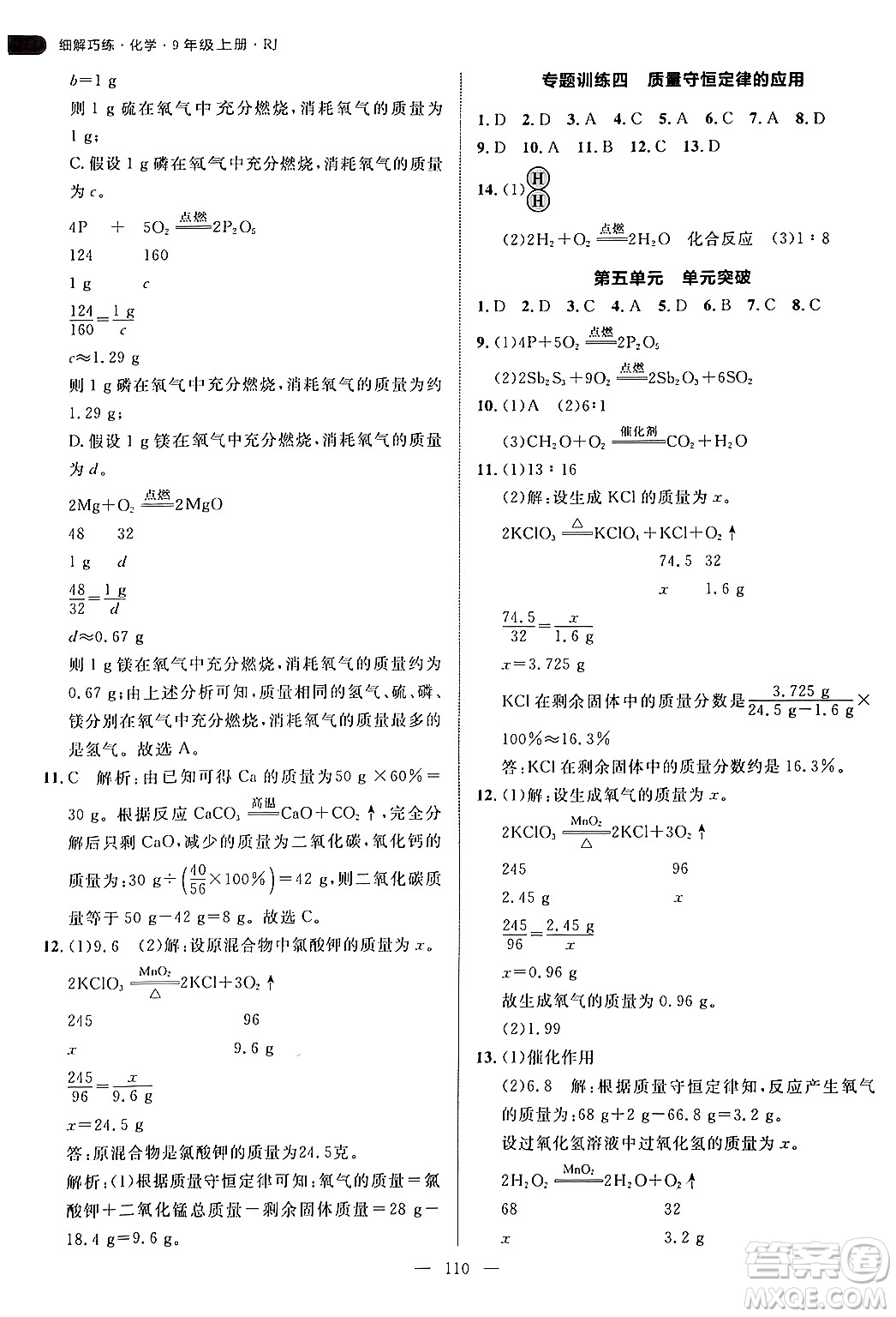 延邊大學(xué)出版社2024年秋細(xì)解巧練九年級(jí)化學(xué)上冊(cè)人教版答案