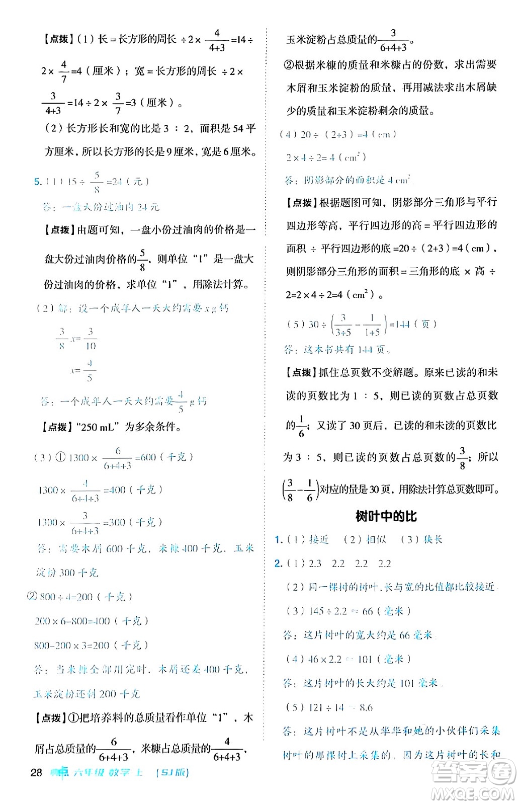 吉林教育出版社2024年秋綜合應(yīng)用創(chuàng)新題典中點六年級數(shù)學(xué)上冊蘇教版答案