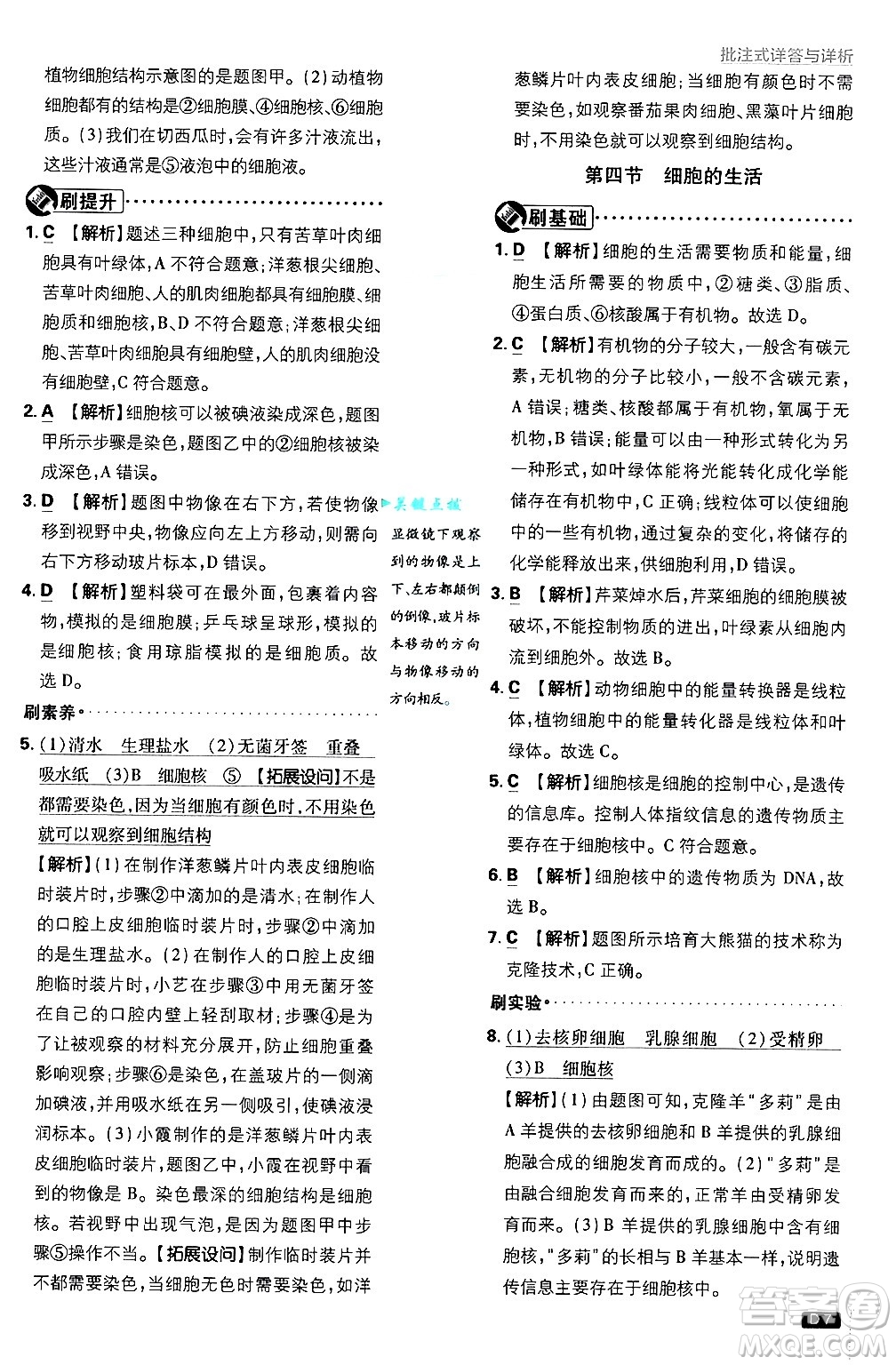 開明出版社2025屆初中必刷題拔尖提優(yōu)訓練七年級生物上冊人教版答案