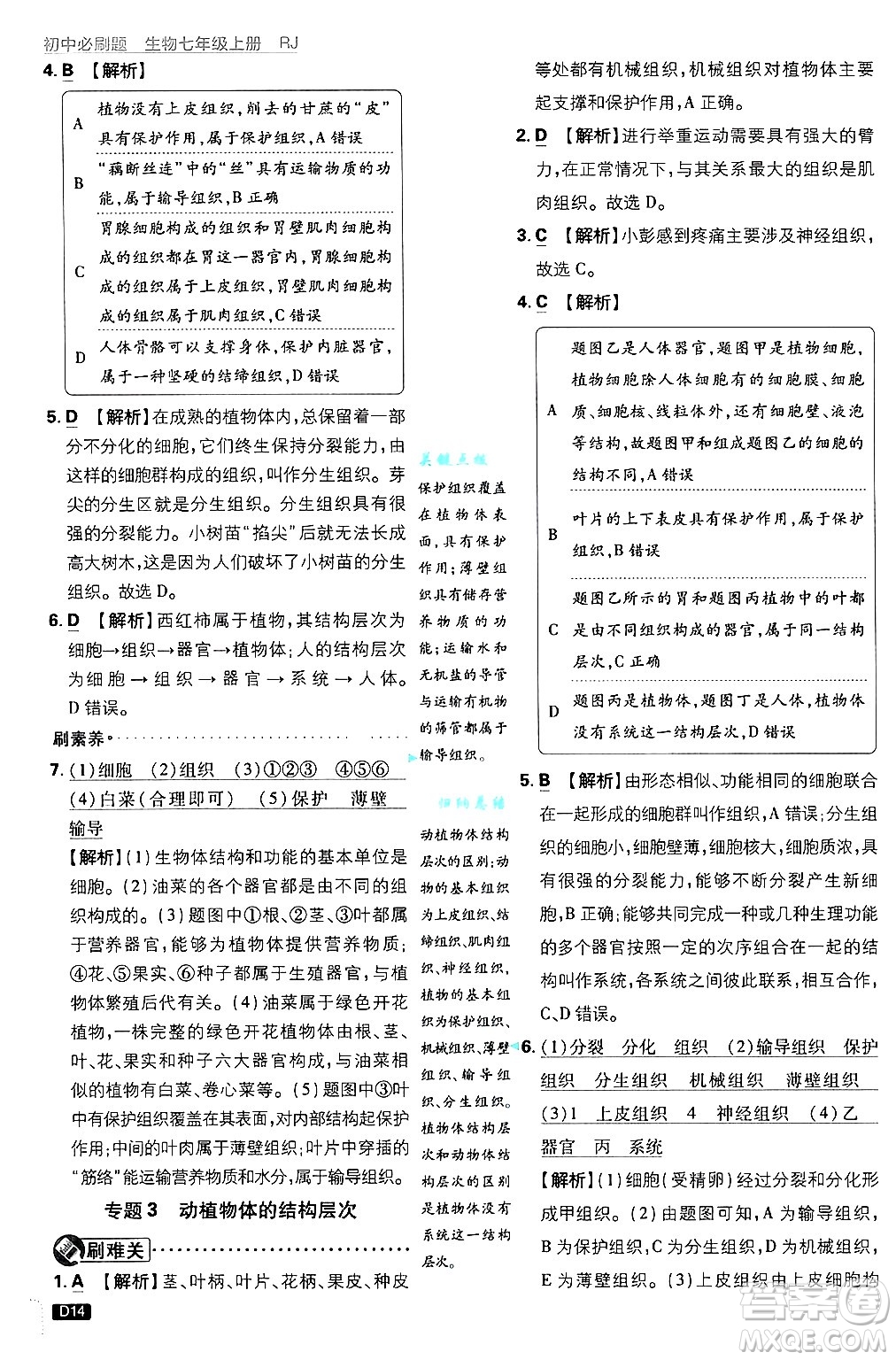 開明出版社2025屆初中必刷題拔尖提優(yōu)訓練七年級生物上冊人教版答案