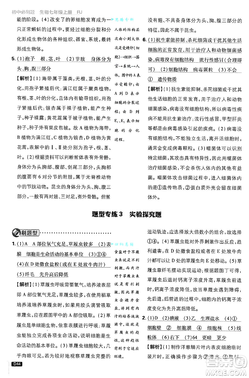 開明出版社2025屆初中必刷題拔尖提優(yōu)訓練七年級生物上冊人教版答案