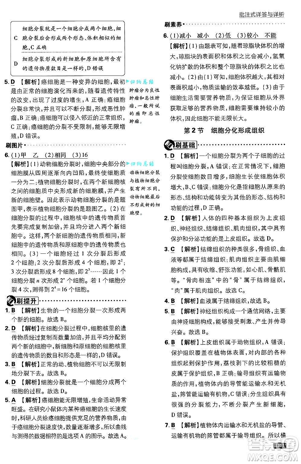 開明出版社2025屆初中必刷題拔尖提優(yōu)訓(xùn)練七年級生物上冊北師大版答案