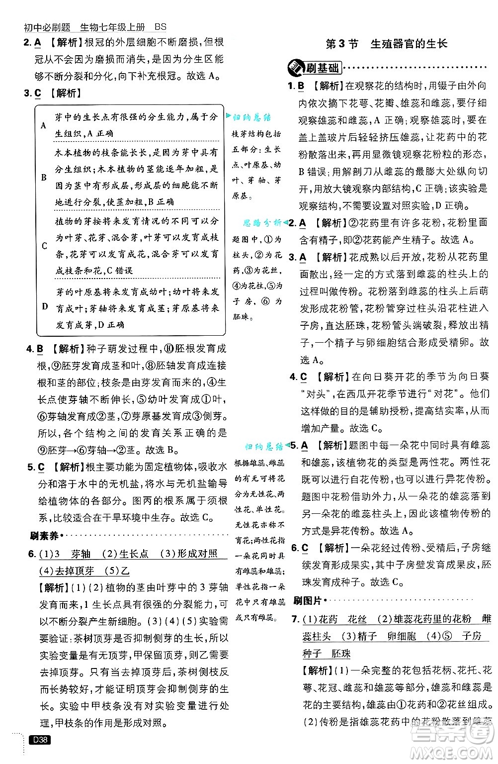 開明出版社2025屆初中必刷題拔尖提優(yōu)訓(xùn)練七年級生物上冊北師大版答案