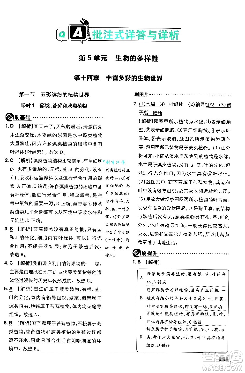 開明出版社2025屆初中必刷題拔尖提優(yōu)訓(xùn)練八年級生物上冊蘇教版答案