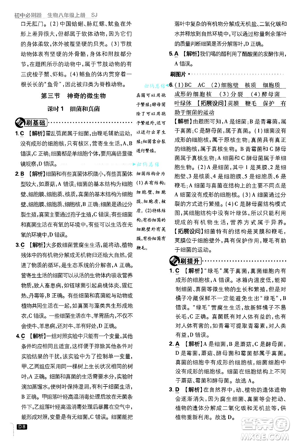 開明出版社2025屆初中必刷題拔尖提優(yōu)訓(xùn)練八年級生物上冊蘇教版答案