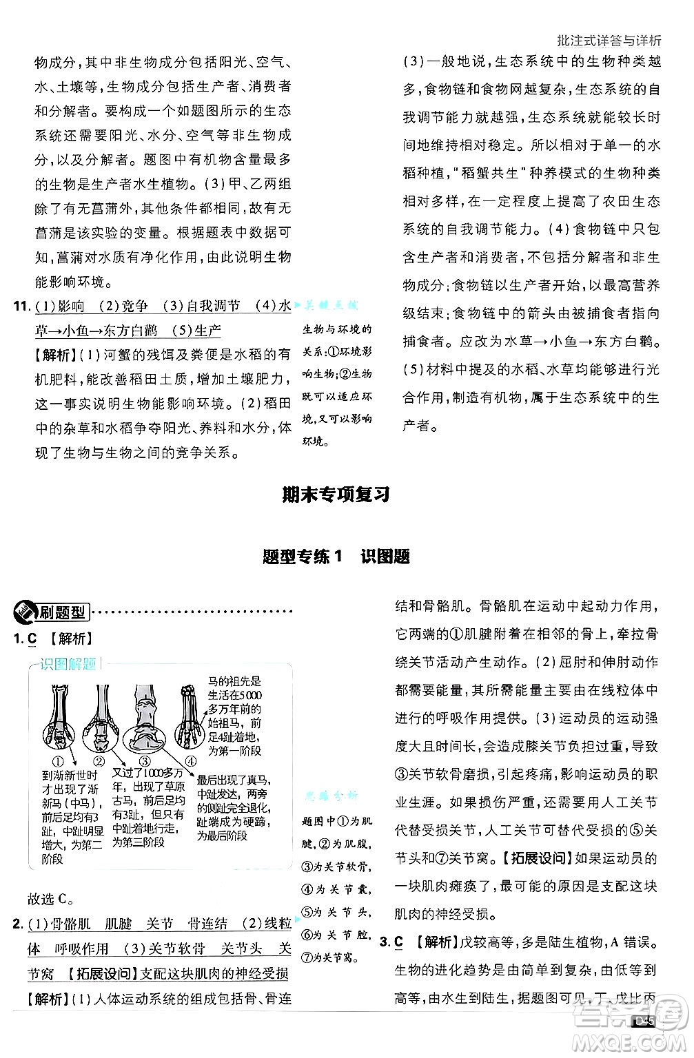 開明出版社2025屆初中必刷題拔尖提優(yōu)訓(xùn)練八年級生物上冊蘇教版答案