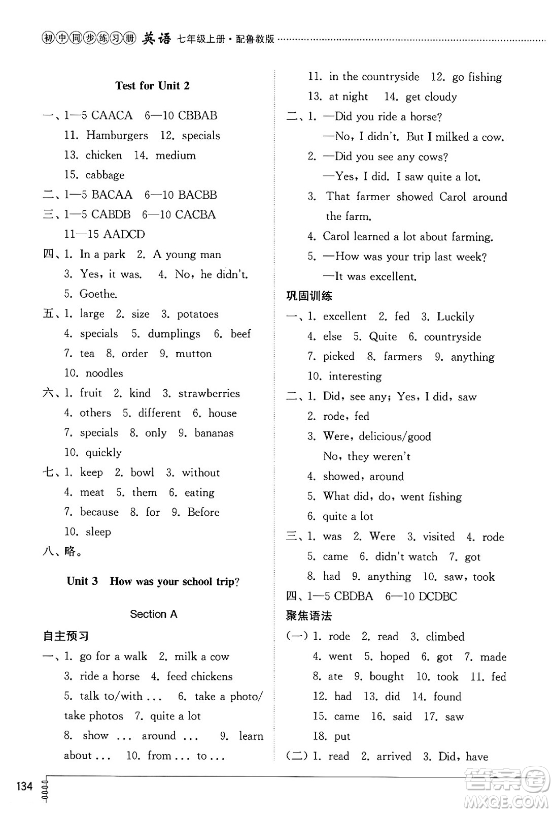 山東教育出版社2024秋初中同步練習(xí)冊七年級英語上冊魯教版五四制答案