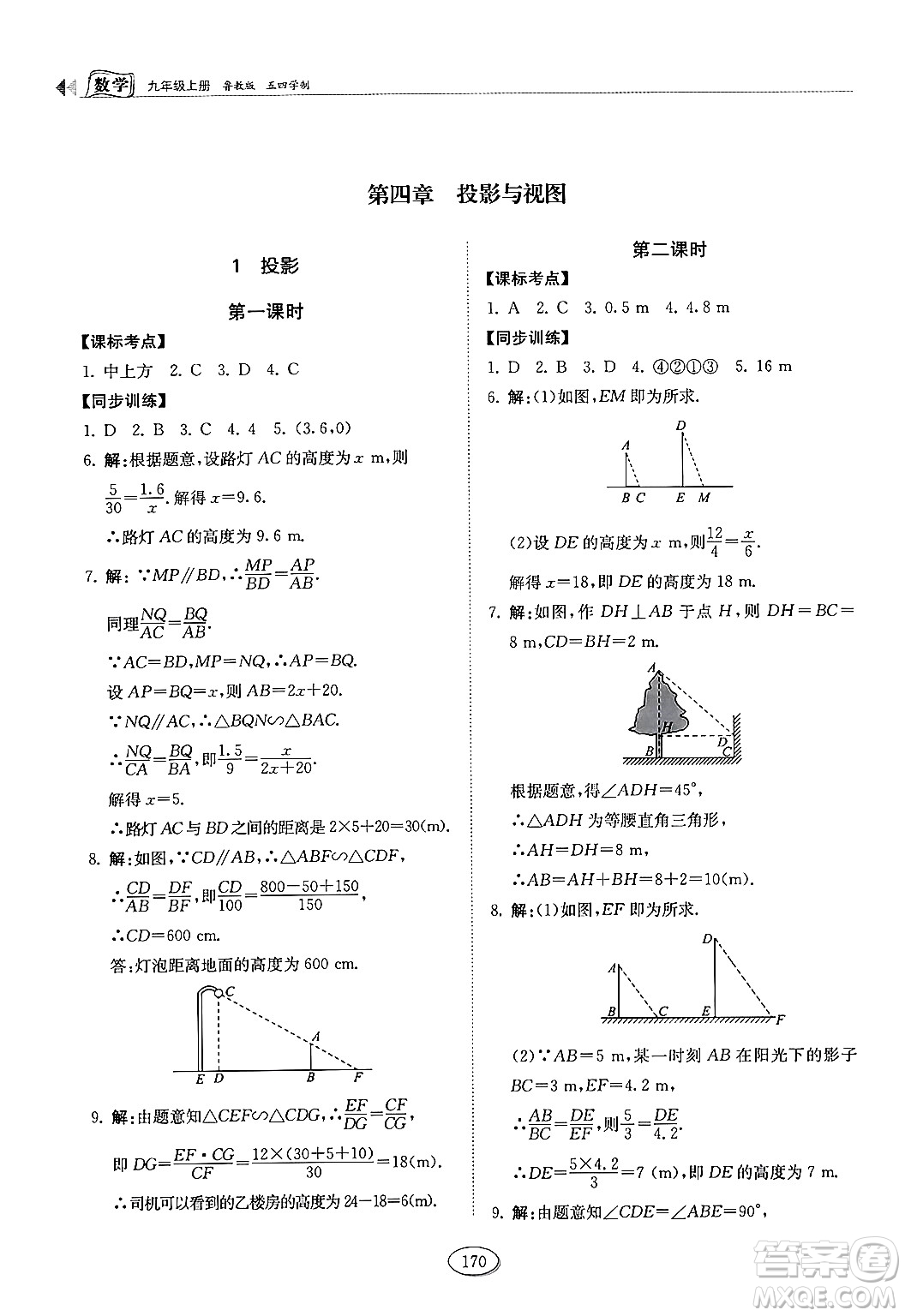 山東科學(xué)技術(shù)出版社2024秋初中同步練習(xí)冊(cè)九年級(jí)數(shù)學(xué)上冊(cè)魯教版五四制答案