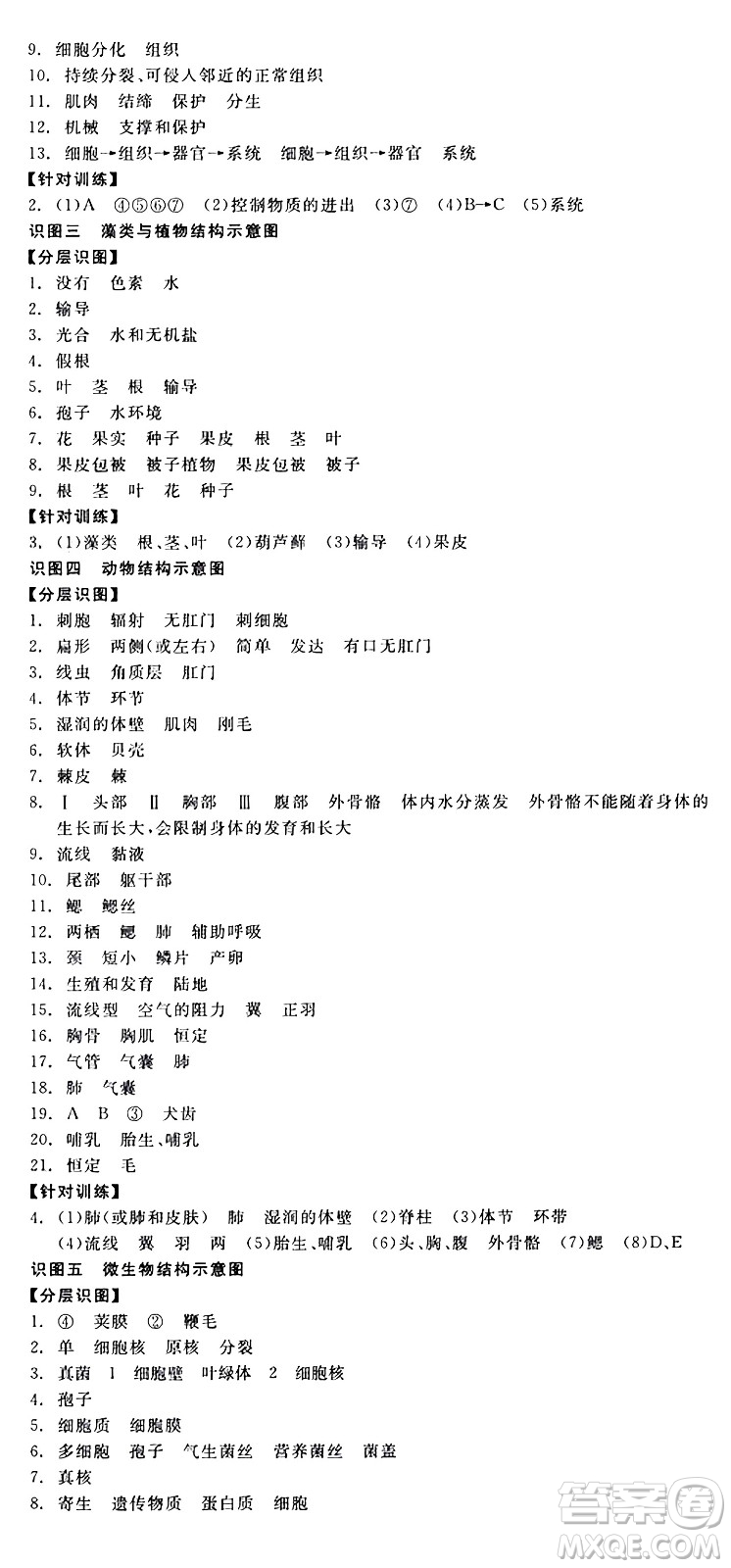 陽光出版社2024年秋全品學練考七年級生物上冊人教版答案