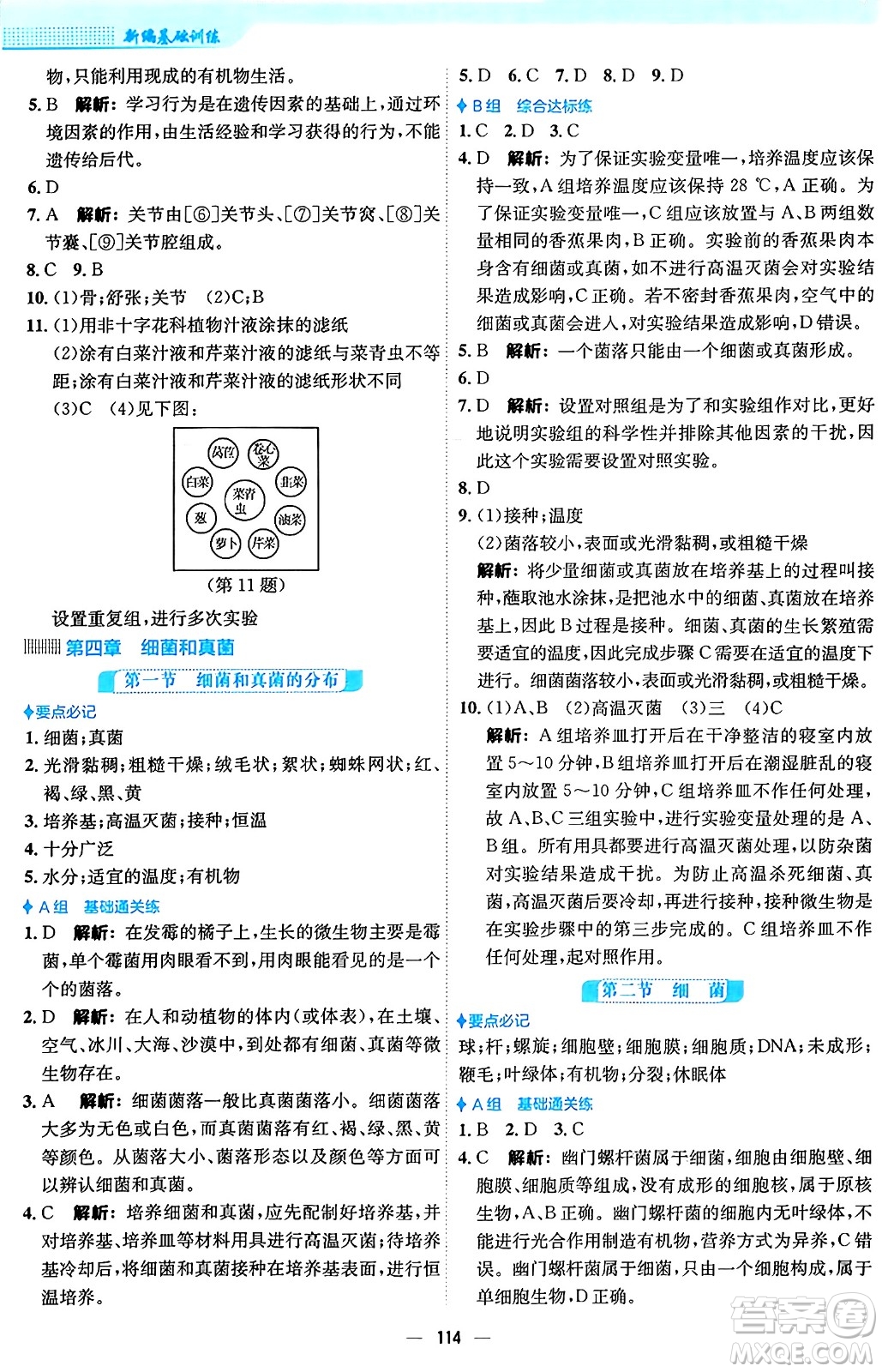 安徽教育出版社2024年秋新編基礎(chǔ)訓(xùn)練八年級生物上冊人教版答案