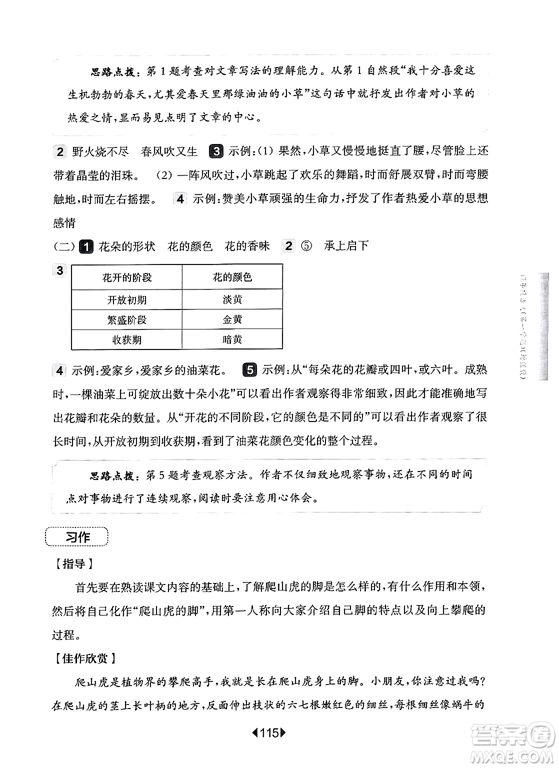 華東師范大學(xué)出版社2024年秋華東師大版一課一練四年級語文上冊華師版增強版上海專版答案