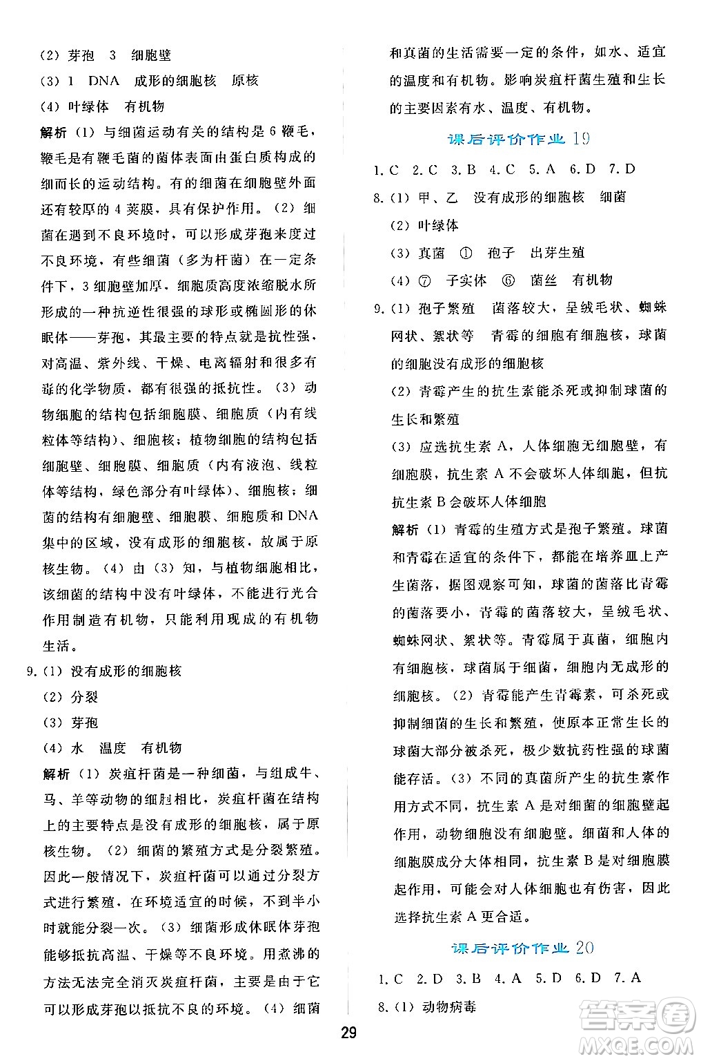 人民教育出版社2024年秋同步輕松練習(xí)七年級(jí)生物學(xué)上冊(cè)人教版答案