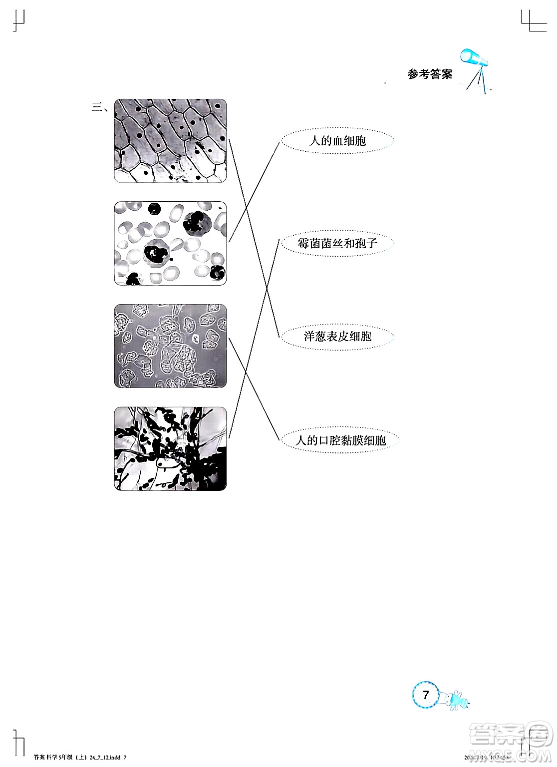 湖北教育出版社2024年秋長江作業(yè)本課堂作業(yè)五年級科學(xué)上冊人教版答案