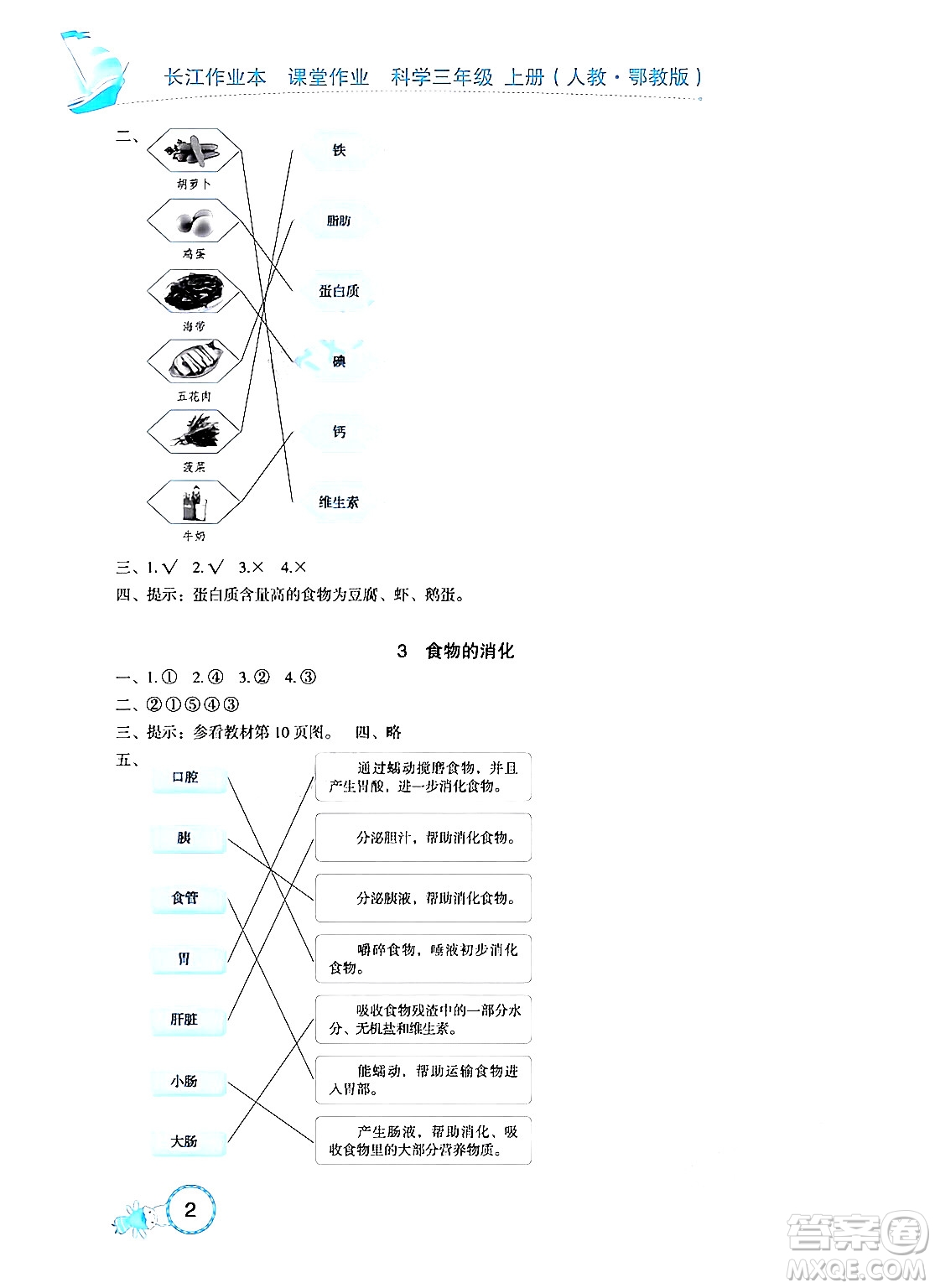 湖北教育出版社2024年秋長江作業(yè)本課堂作業(yè)四年級科學(xué)上冊人教版答案