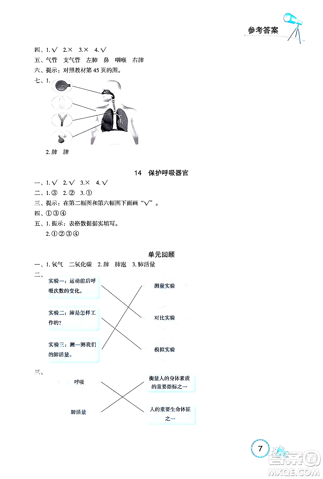 湖北教育出版社2024年秋長江作業(yè)本課堂作業(yè)四年級科學(xué)上冊人教版答案