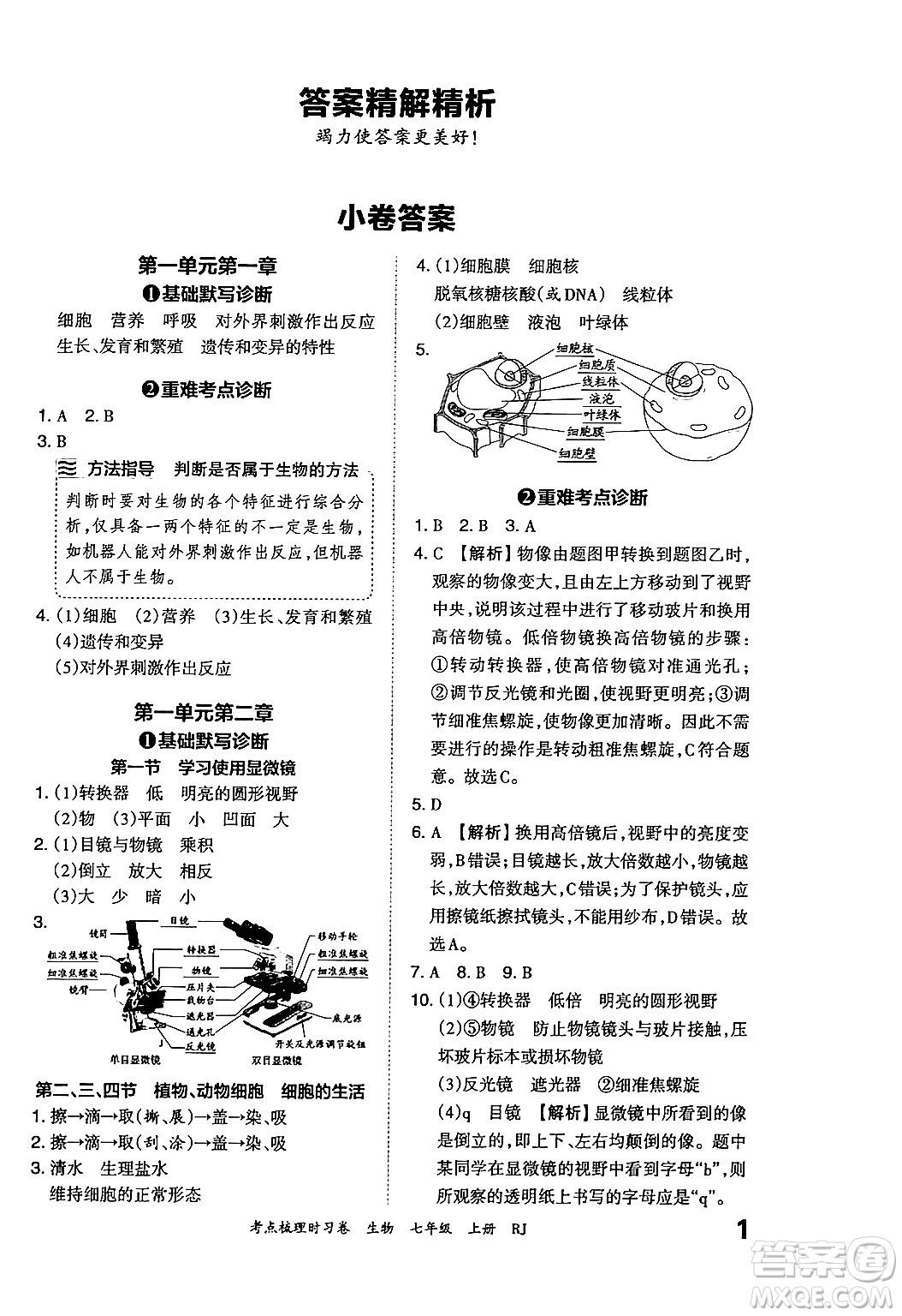 江西人民出版社2024年秋王朝霞考點梳理時習(xí)卷七年級生物上冊人教版答案